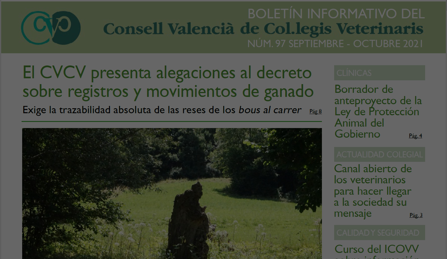 boletin97